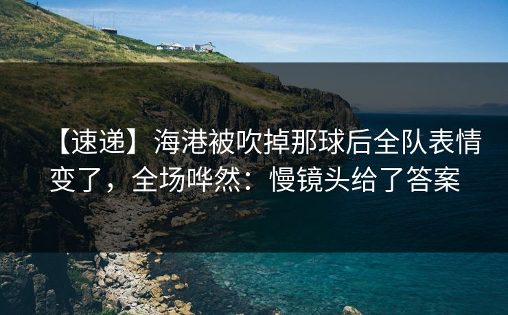 【速递】海港被吹掉那球后全队表情变了，全场哗然：慢镜头给了答案