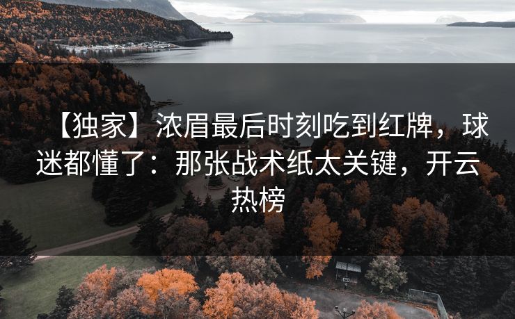 【独家】浓眉最后时刻吃到红牌,球迷都懂了:那张战术纸太关键,开云热榜